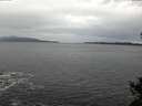 ./images/koeye/fitz-hugh/20141105/fitz-hugh20141105_090501.jpg