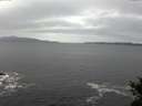 ./images/koeye/fitz-hugh/20141105/fitz-hugh20141105_091001.jpg
