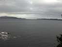 ./images/koeye/fitz-hugh/20141105/fitz-hugh20141105_092002.jpg