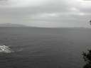 ./images/koeye/fitz-hugh/20141105/fitz-hugh20141105_095503.jpg
