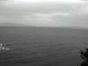 ./images/koeye/fitz-hugh/20141105/fitz-hugh20141105_100503.jpg