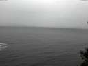 ./images/koeye/fitz-hugh/20141105/fitz-hugh20141105_104003.jpg