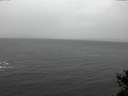 ./images/koeye/fitz-hugh/20141105/fitz-hugh20141105_104502.jpg