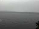./images/koeye/fitz-hugh/20141105/fitz-hugh20141105_105503.jpg