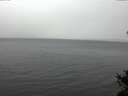 ./images/koeye/fitz-hugh/20141105/fitz-hugh20141105_111502.jpg