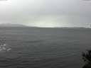 ./images/koeye/fitz-hugh/20141105/fitz-hugh20141105_115502.jpg