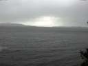 ./images/koeye/fitz-hugh/20141105/fitz-hugh20141105_121001.jpg
