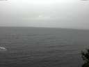 ./images/koeye/fitz-hugh/20141105/fitz-hugh20141105_122002.jpg