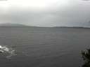 ./images/koeye/fitz-hugh/20141105/fitz-hugh20141105_131002.jpg