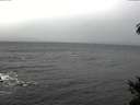 ./images/koeye/fitz-hugh/20141105/fitz-hugh20141105_131503.jpg