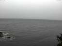 ./images/koeye/fitz-hugh/20141105/fitz-hugh20141105_135001.jpg