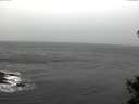 ./images/koeye/fitz-hugh/20141105/fitz-hugh20141105_135502.jpg