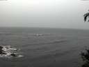 ./images/koeye/fitz-hugh/20141105/fitz-hugh20141105_140002.jpg