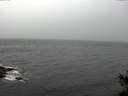 ./images/koeye/fitz-hugh/20141105/fitz-hugh20141105_140502.jpg