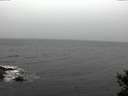 ./images/koeye/fitz-hugh/20141105/fitz-hugh20141105_141001.jpg