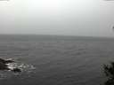 ./images/koeye/fitz-hugh/20141105/fitz-hugh20141105_141501.jpg