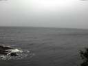 ./images/koeye/fitz-hugh/20141105/fitz-hugh20141105_142001.jpg