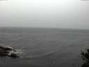 ./images/koeye/fitz-hugh/20141105/fitz-hugh20141105_143503.jpg