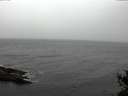 ./images/koeye/fitz-hugh/20141105/fitz-hugh20141105_145003.jpg