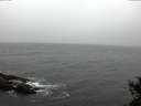 ./images/koeye/fitz-hugh/20141105/fitz-hugh20141105_145503.jpg