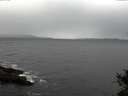./images/koeye/fitz-hugh/20141105/fitz-hugh20141105_151002.jpg