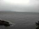 ./images/koeye/fitz-hugh/20141105/fitz-hugh20141105_151503.jpg