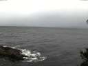 ./images/koeye/fitz-hugh/20141105/fitz-hugh20141105_153503.jpg