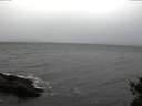 ./images/koeye/fitz-hugh/20141105/fitz-hugh20141105_154503.jpg