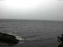 ./images/koeye/fitz-hugh/20141105/fitz-hugh20141105_160002.jpg