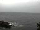 ./images/koeye/fitz-hugh/20141105/fitz-hugh20141105_161001.jpg
