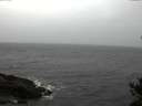 ./images/koeye/fitz-hugh/20141105/fitz-hugh20141105_162001.jpg