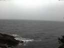 ./images/koeye/fitz-hugh/20141105/fitz-hugh20141105_163501.jpg