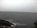./images/koeye/fitz-hugh/20141105/fitz-hugh20141105_164001.jpg