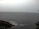 ./images/koeye/fitz-hugh/20141105/fitz-hugh20141105_164502.jpg