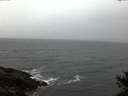 ./images/koeye/fitz-hugh/20141105/fitz-hugh20141105_165003.jpg