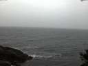 ./images/koeye/fitz-hugh/20141105/fitz-hugh20141105_170503.jpg