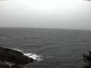 ./images/koeye/fitz-hugh/20141105/fitz-hugh20141105_171002.jpg