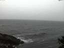 ./images/koeye/fitz-hugh/20141105/fitz-hugh20141105_171502.jpg