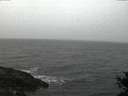 ./images/koeye/fitz-hugh/20141105/fitz-hugh20141105_172003.jpg