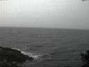 ./images/koeye/fitz-hugh/20141105/fitz-hugh20141105_172503.jpg
