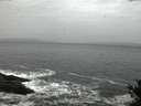 ./images/koeye/fitz-hugh/20141106/fitz-hugh20141106_070501.jpg