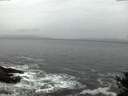 ./images/koeye/fitz-hugh/20141106/fitz-hugh20141106_071003.jpg