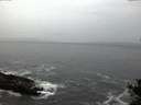 ./images/koeye/fitz-hugh/20141106/fitz-hugh20141106_071501.jpg