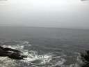 ./images/koeye/fitz-hugh/20141106/fitz-hugh20141106_072002.jpg