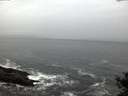 ./images/koeye/fitz-hugh/20141106/fitz-hugh20141106_072502.jpg