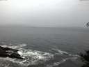 ./images/koeye/fitz-hugh/20141106/fitz-hugh20141106_073501.jpg