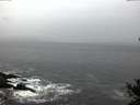 ./images/koeye/fitz-hugh/20141106/fitz-hugh20141106_074002.jpg