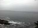 ./images/koeye/fitz-hugh/20141106/fitz-hugh20141106_074501.jpg