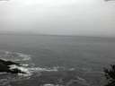 ./images/koeye/fitz-hugh/20141106/fitz-hugh20141106_080003.jpg