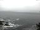 ./images/koeye/fitz-hugh/20141106/fitz-hugh20141106_081003.jpg